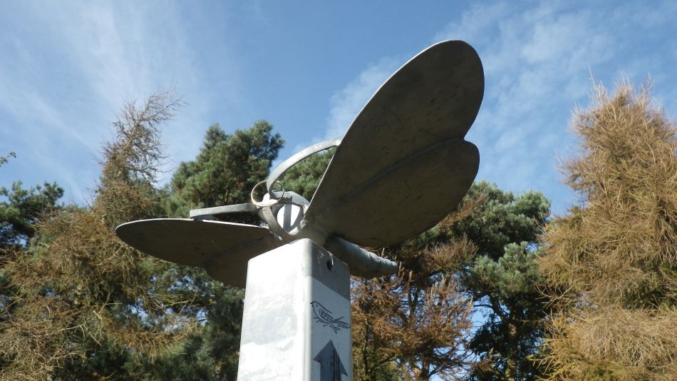 2016-11-02 09 Knodishall Common Sandlings Way and Hundred River Area.jpg