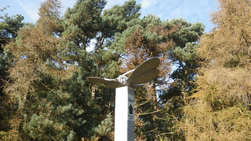 2016-11-02 10 Knodishall Common Sandlings Way and Hundred River Area.jpg