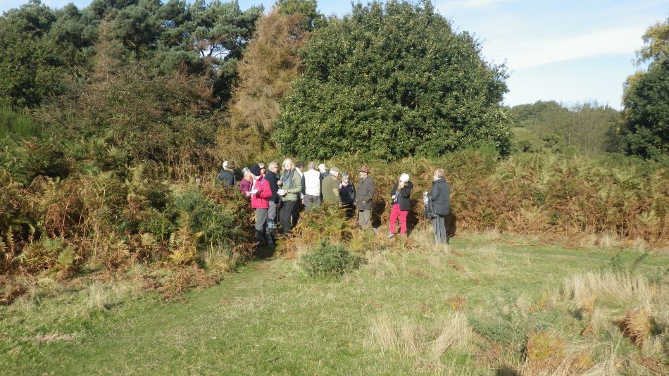 2016-11-02 11 Knodishall Common Sandlings Way and Hundred River Area.jpg