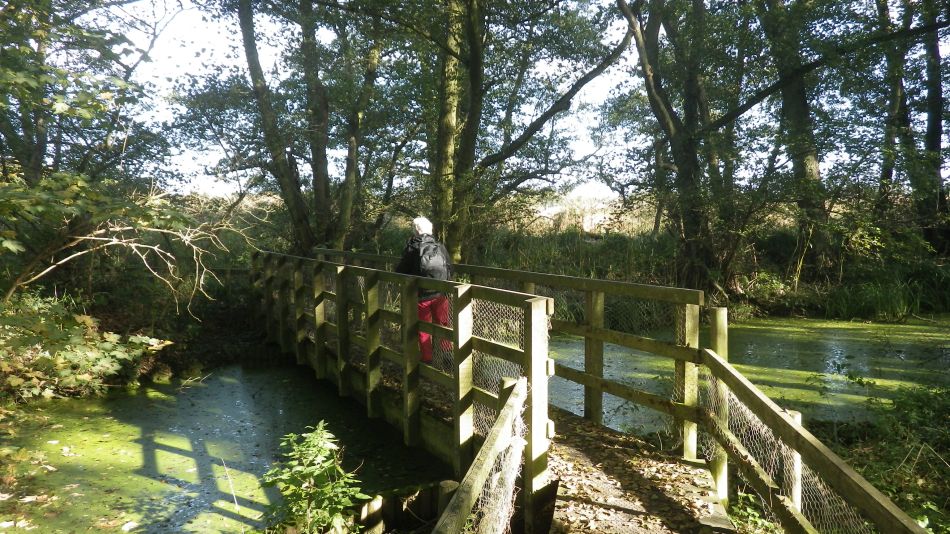 2016-11-02 13 Knodishall Common Sandlings Way and Hundred River Area.jpg