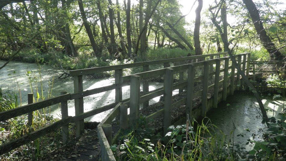 2016-11-02 16 Knodishall Common Sandlings Way and Hundred River Area.jpg