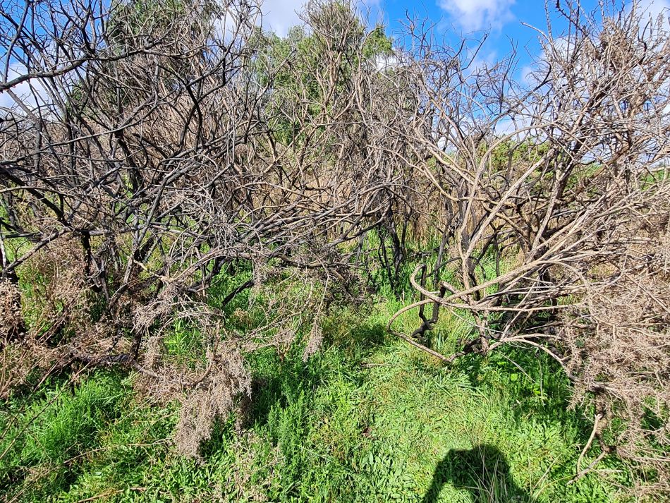 2023-08-28 02 Knodishall and Aldringham.jpg