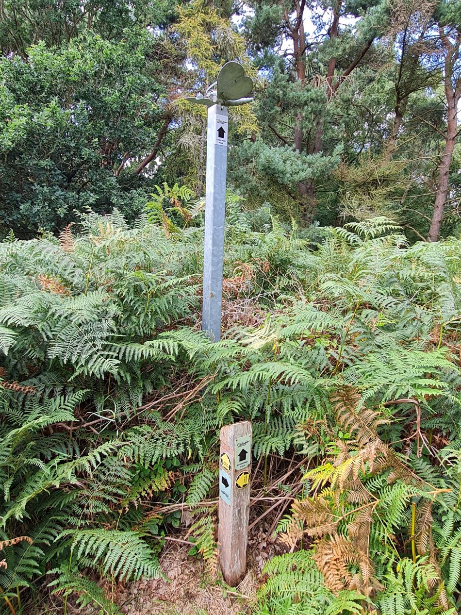 2023-08-28 06 Knodishall and Aldringham.jpg