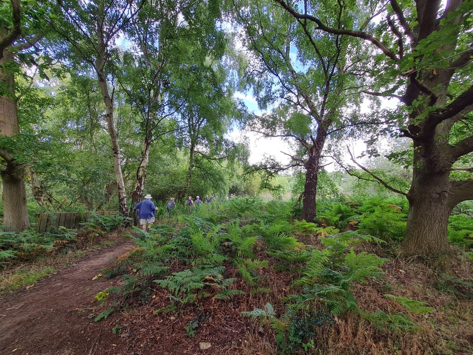 2023-08-28 08 Knodishall and Aldringham.jpg