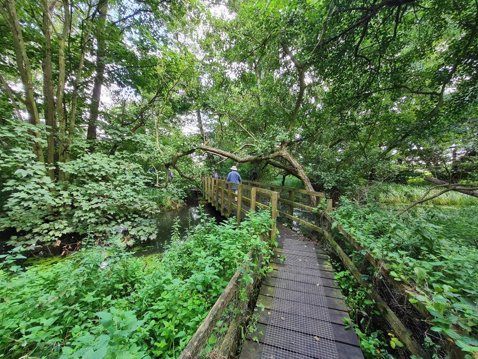 2023-08-28 09 Knodishall and Aldringham.jpg