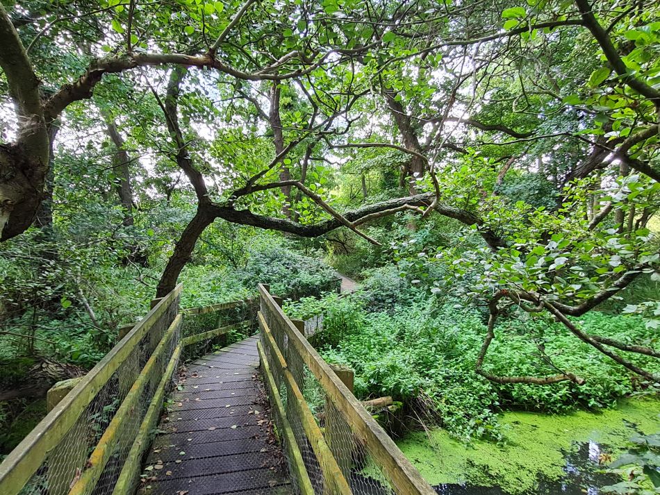 2023-08-28 11 Knodishall and Aldringham.jpg