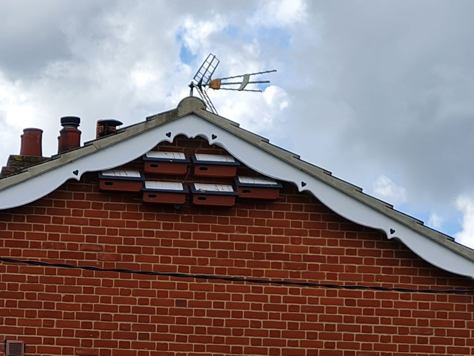 2023-08-28 21 Knodishall and Aldringham.jpg