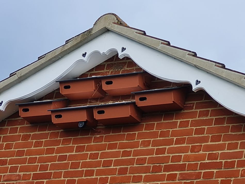 2023-08-28 22 Knodishall and Aldringham.jpg