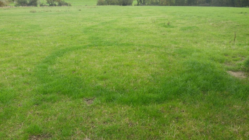 2020-09-04 07 Shotley.jpg