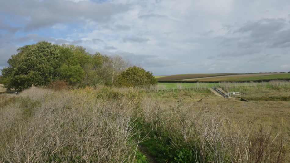 2020-09-04 10 Shotley.jpg