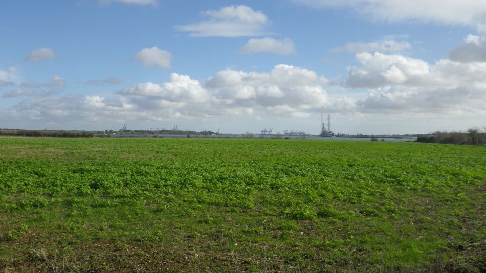 2020-09-04 11 Shotley.jpg