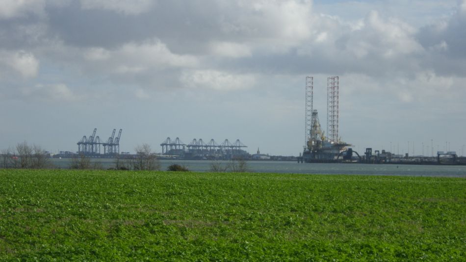 2020-09-04 12 Shotley.jpg