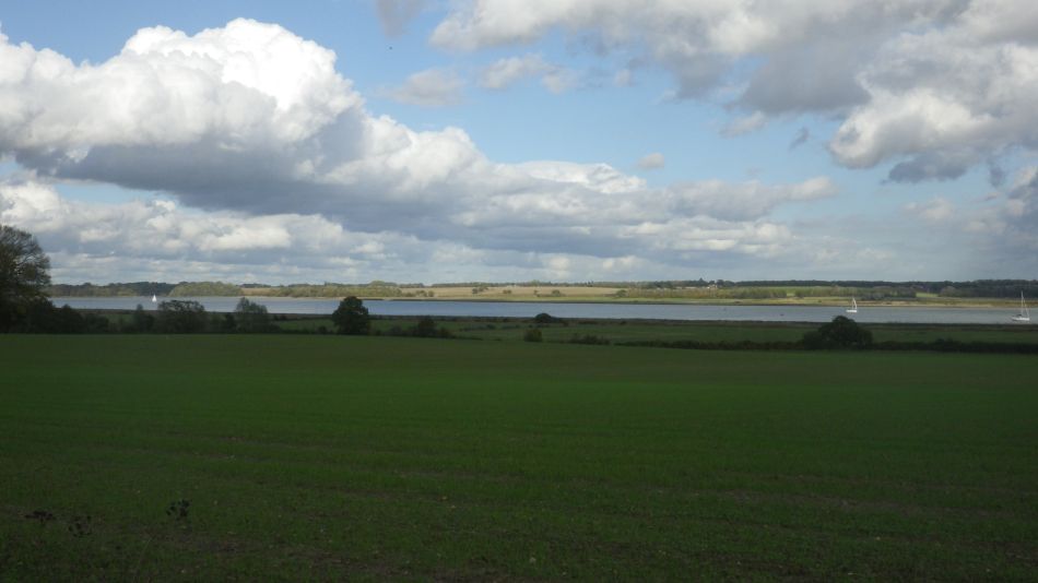 2020-09-04 33 Shotley.jpg