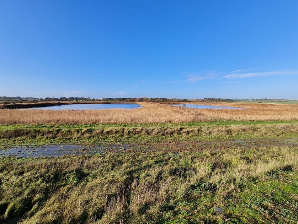 2020-09-20 05 Bawdsey.jpg