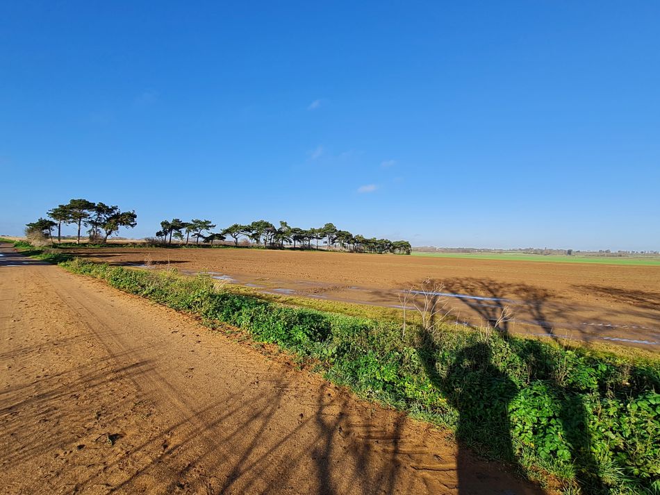 2020-09-20 09 Bawdsey.jpg