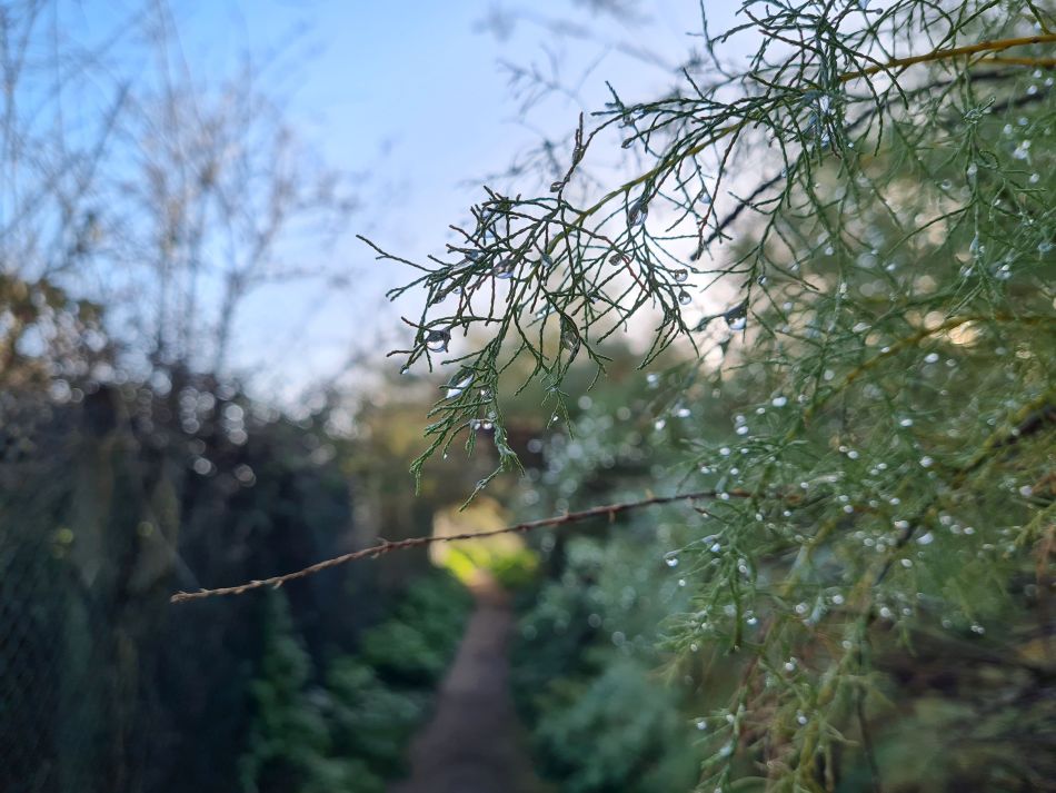 2020-09-20 19 Bawdsey.jpg