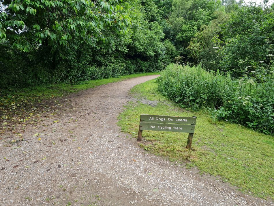 2021-07-07 03 Knypersley Reservoir.jpg