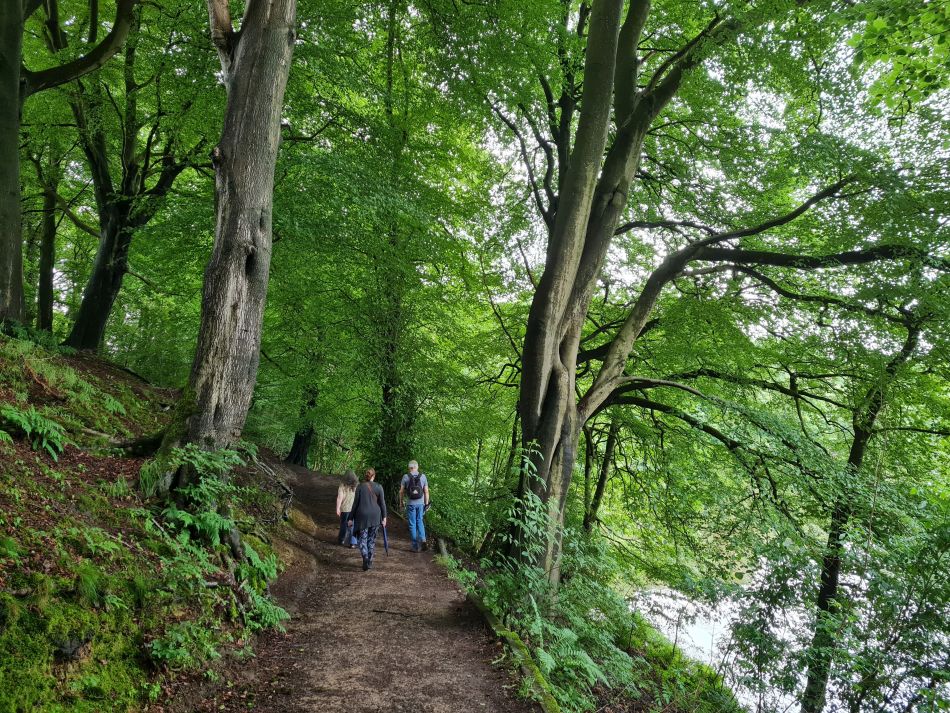 2021-07-07 06 Knypersley Reservoir.jpg