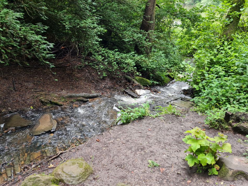 2021-07-07 09 Knypersley Reservoir.jpg