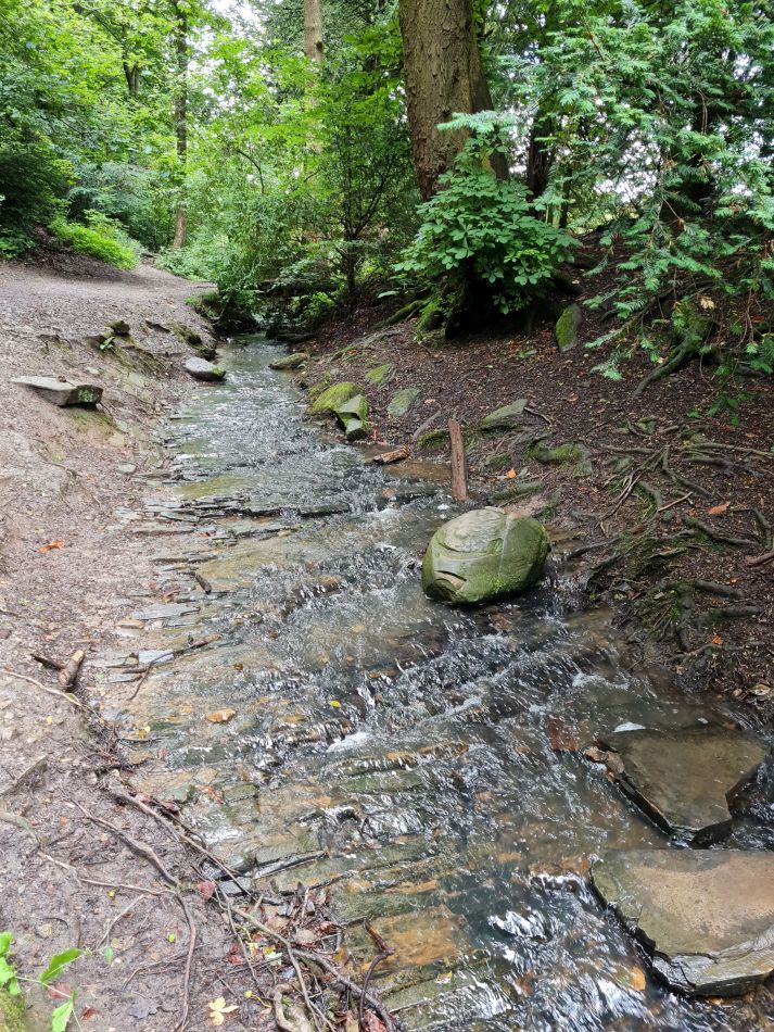 2021-07-07 10 Knypersley Reservoir.jpg