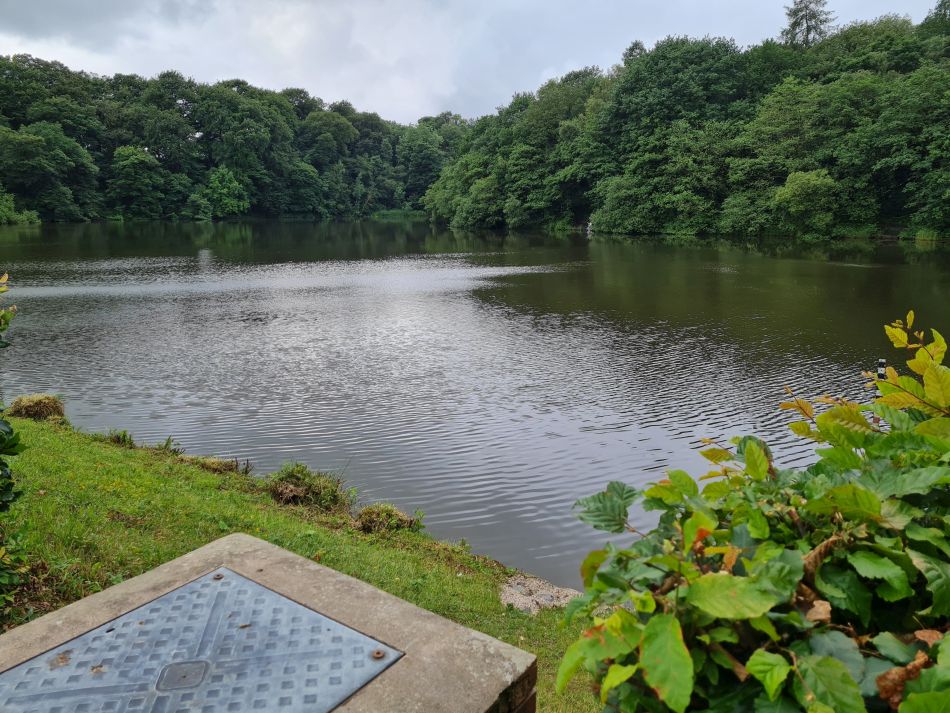 2021-07-07 11 Knypersley Reservoir.jpg