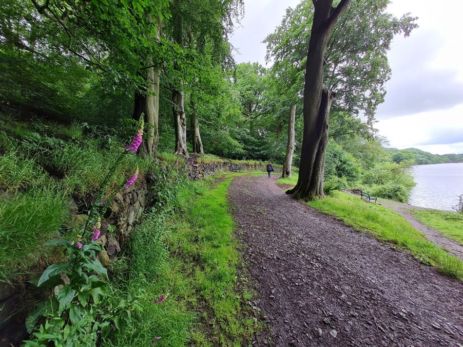 2021-07-07 14 Knypersley Reservoir.jpg