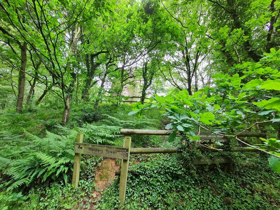 2021-07-07 15 Knypersley Reservoir.jpg