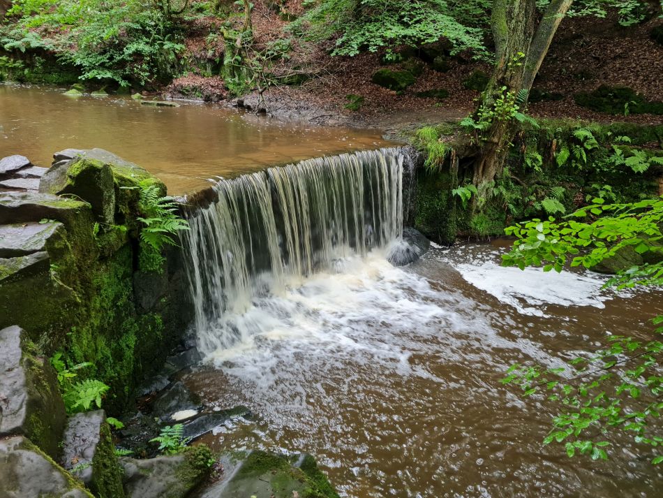 2021-07-07 16 Knypersley Reservoir.jpg