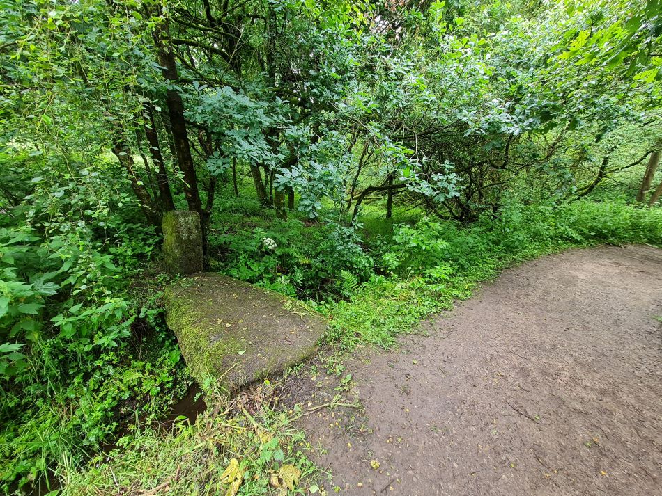 2021-07-07 17 Knypersley Reservoir.jpg