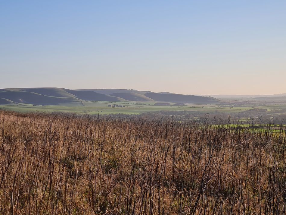 2021-11-25 02 Devizes.jpg