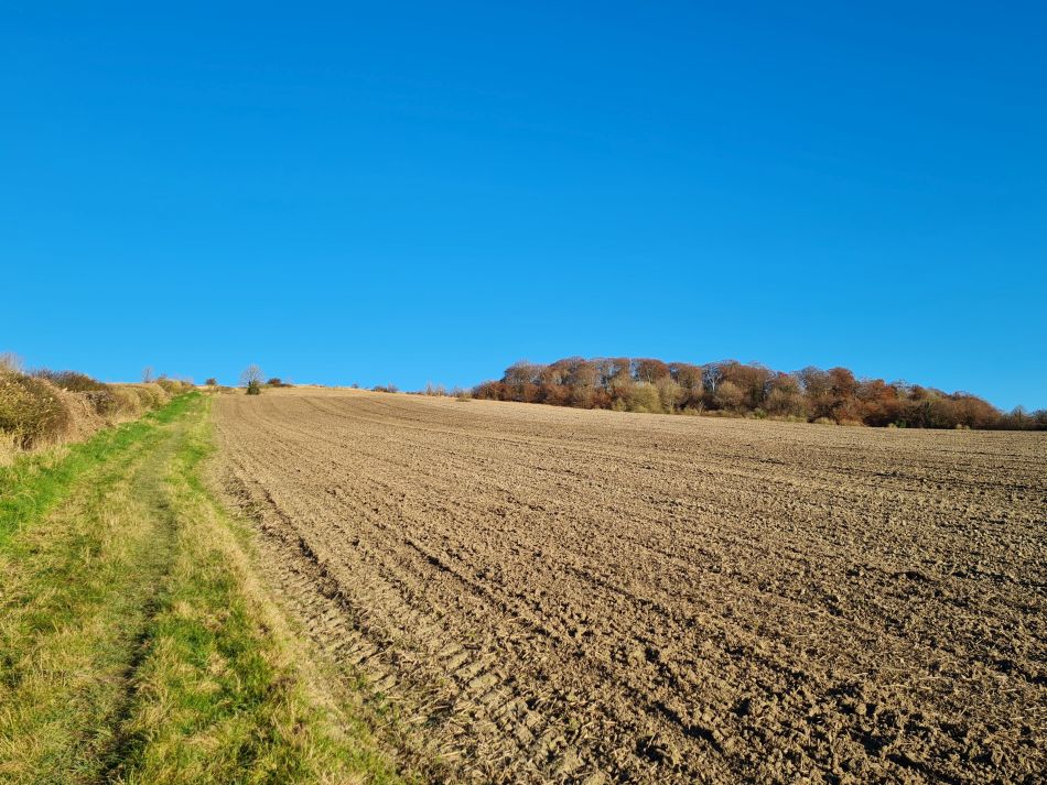 2021-11-25 03 Devizes.jpg