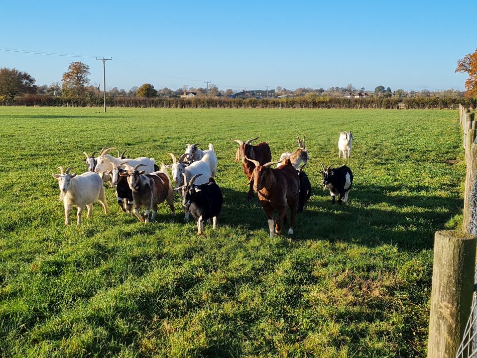 2021-11-25 04 Devizes.jpg