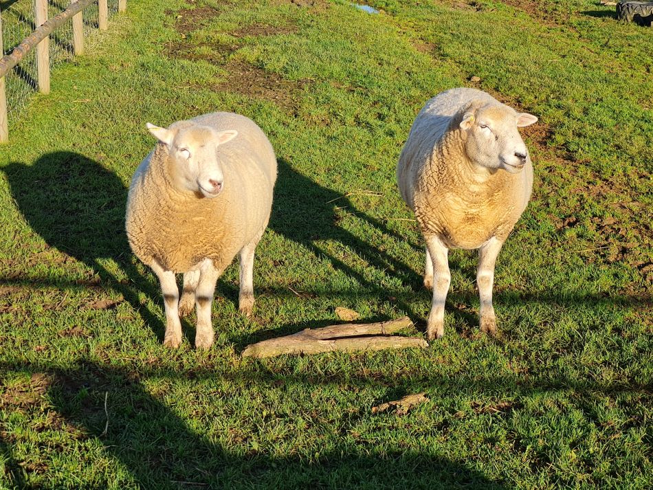 2021-11-25 05 Devizes.jpg