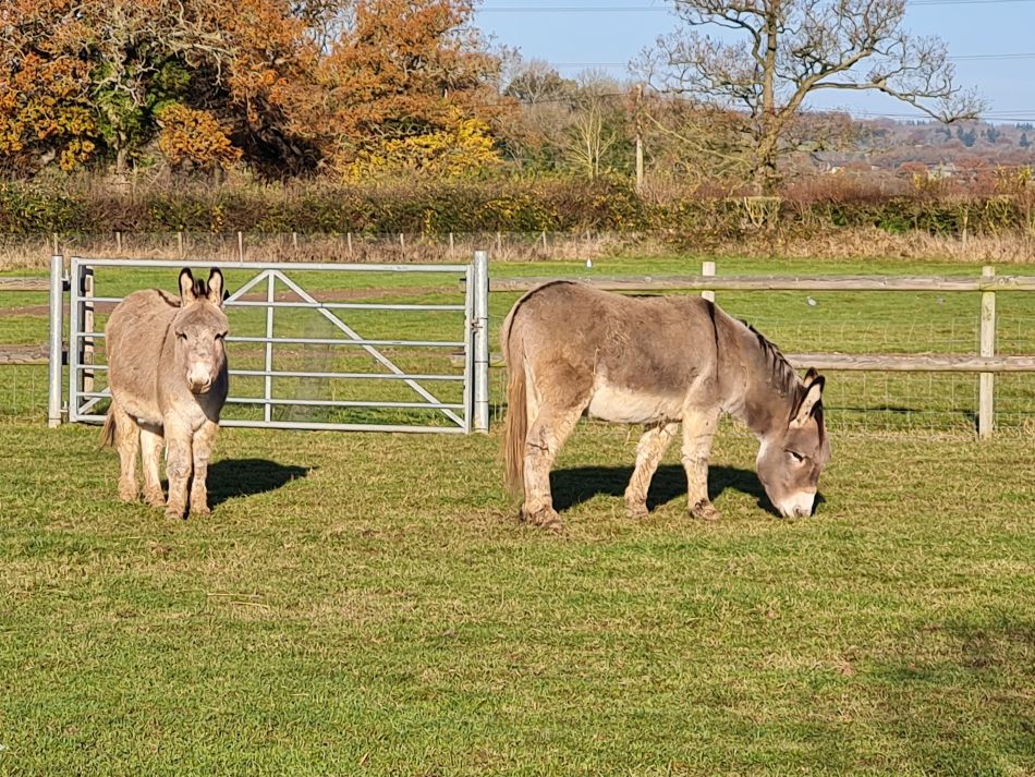 2021-11-25 06 Devizes.jpg