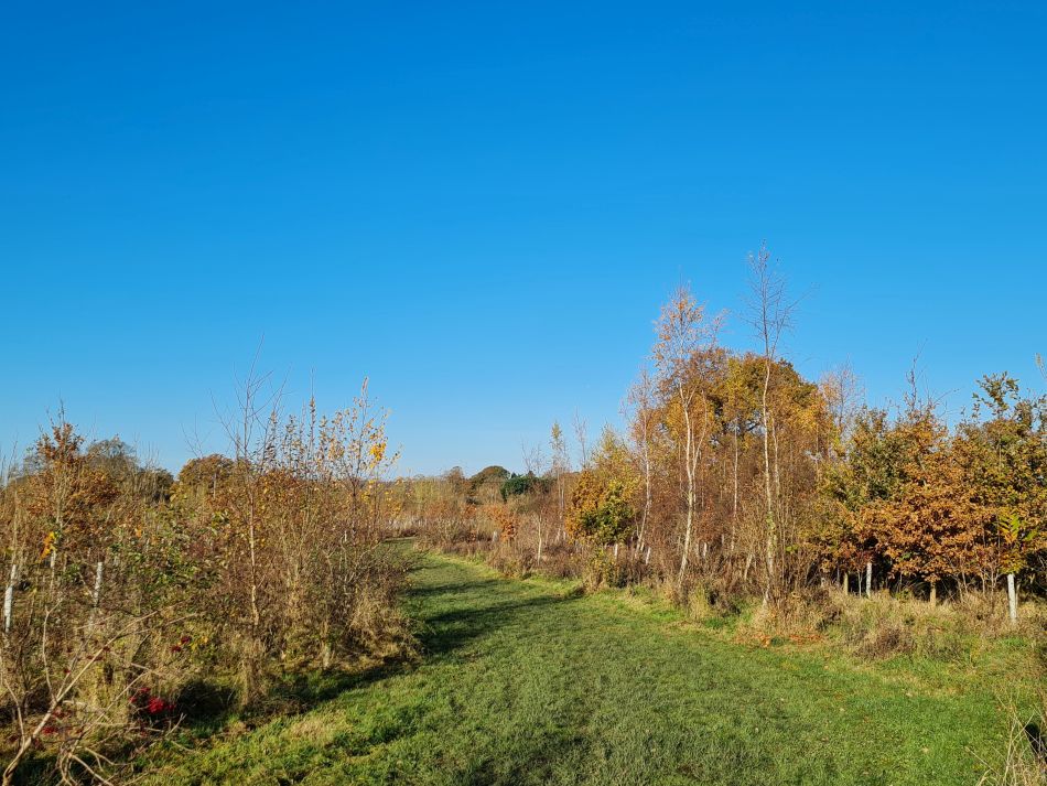 2021-11-25 08 Devizes.jpg