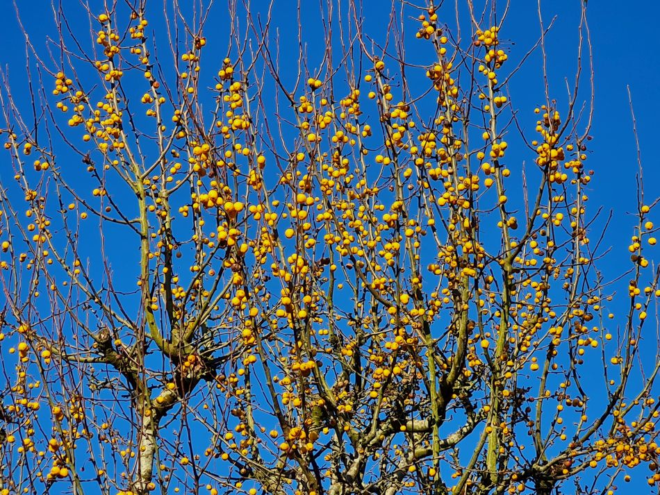 2021-11-25 28 Devizes.jpg