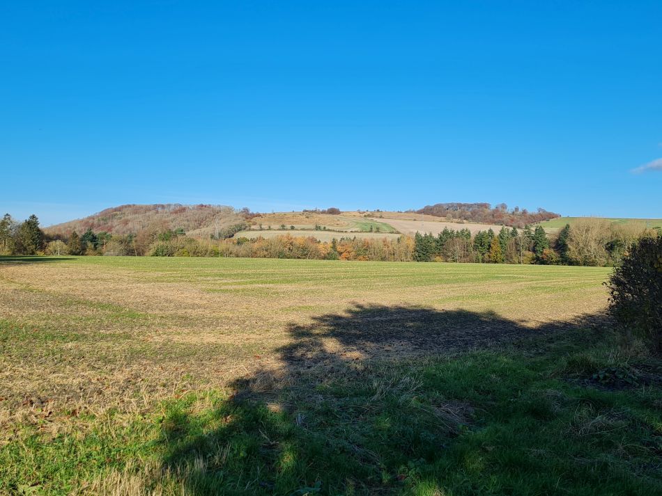 2021-11-25 30 Devizes.jpg