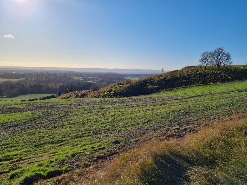 2021-11-25 31 Devizes.jpg