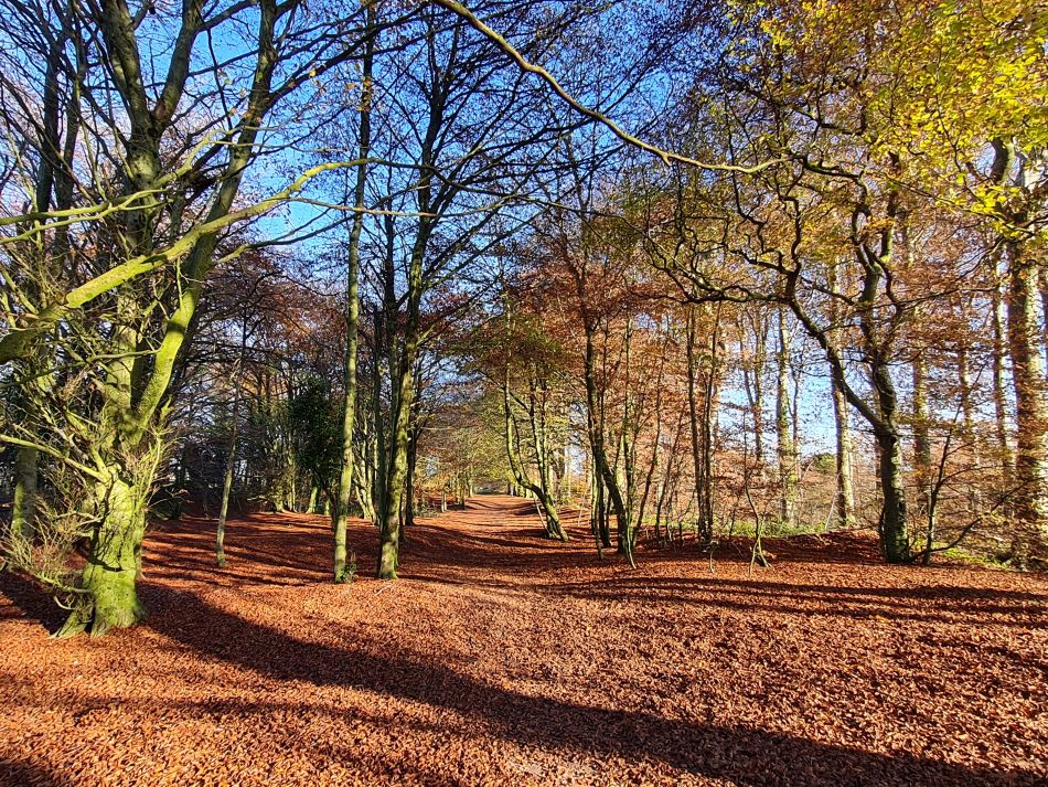 2021-11-25 33 Devizes.jpg