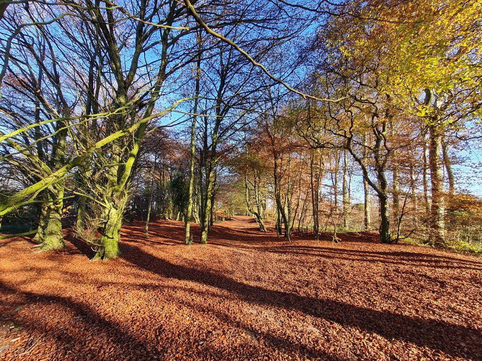 2021-11-25 34 Devizes.jpg