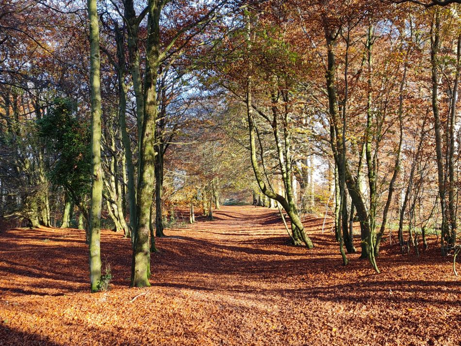 2021-11-25 35 Devizes.jpg