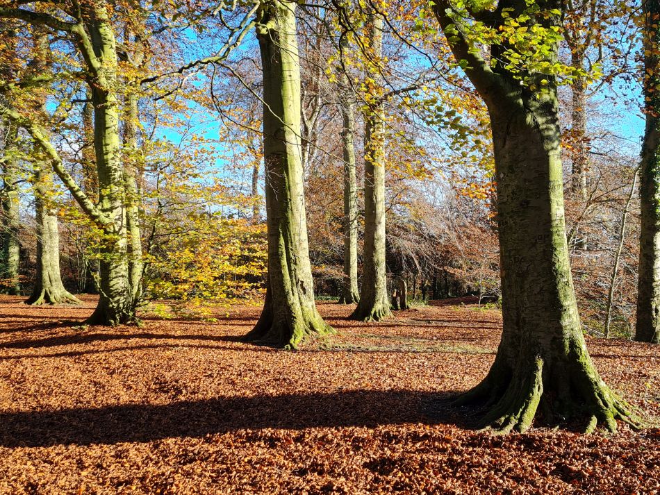 2021-11-25 36 Devizes.jpg