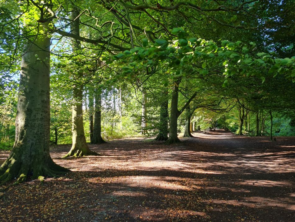 2022-09-24 05 Devizes.jpg