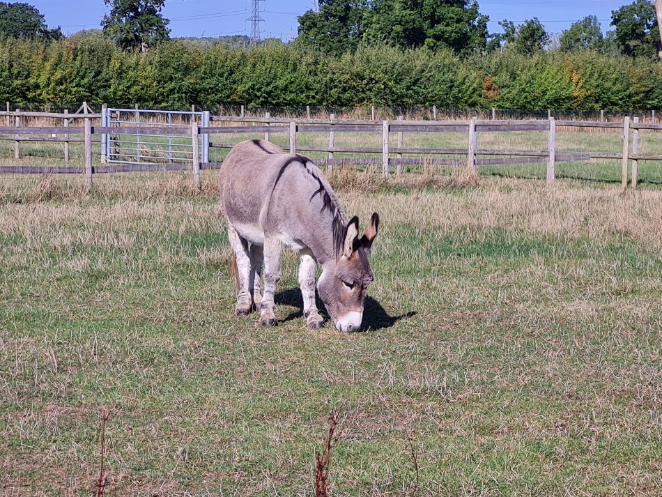 2022-09-24 07 Devizes.jpg