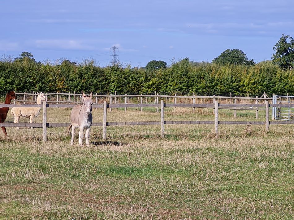 2022-09-24 08 Devizes.jpg