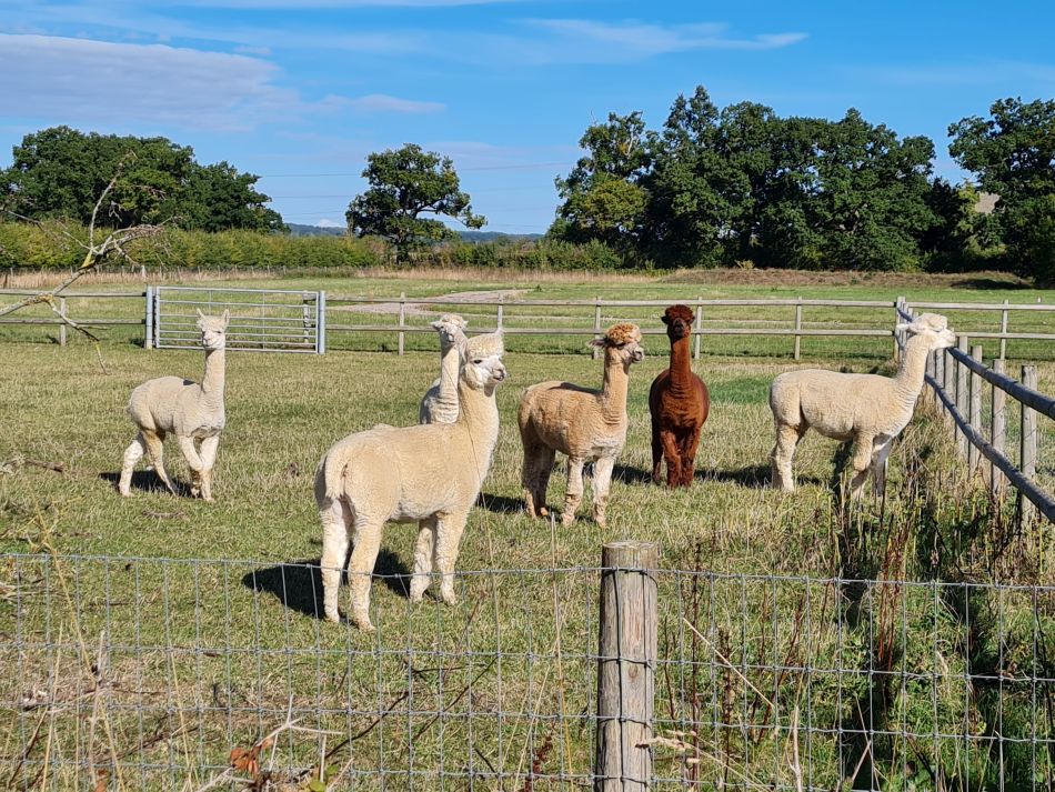 2022-09-24 09 Devizes.jpg