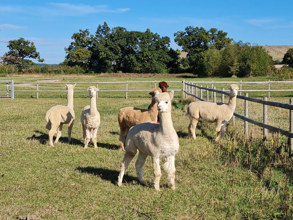 2022-09-24 10 Devizes.jpg