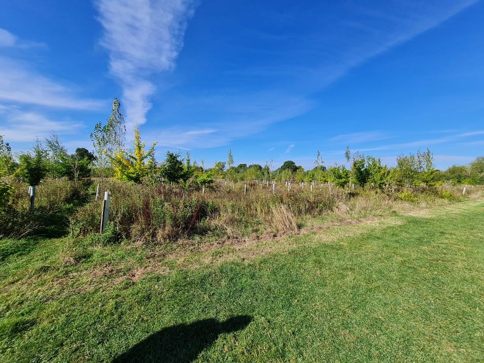 2022-09-24 11 Devizes.jpg