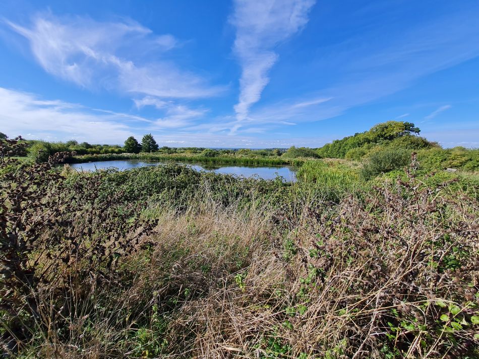 2022-09-24 12 Devizes.jpg