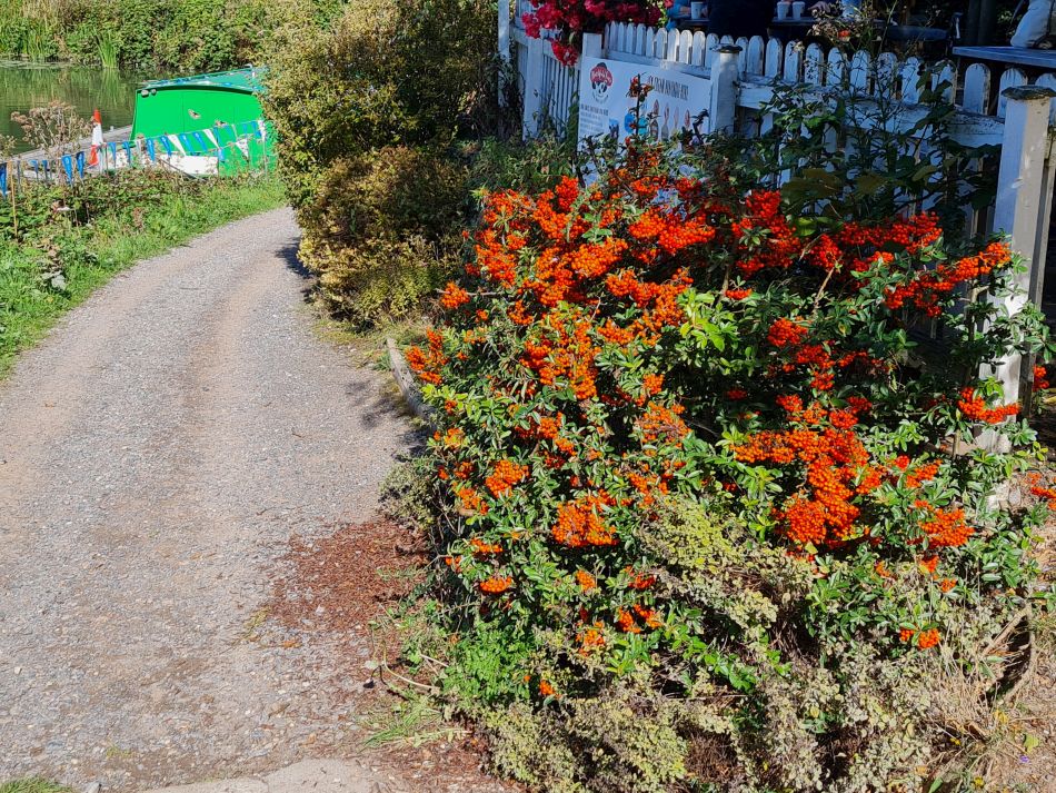 2022-09-24 20 Devizes.jpg